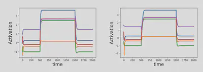 Transient dynamics